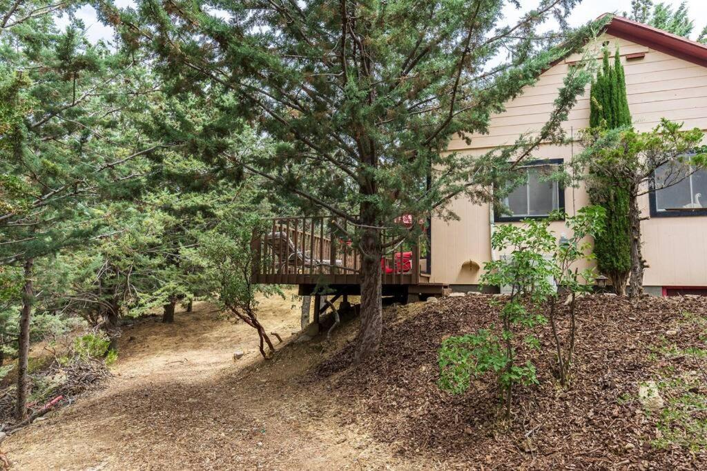 Historical Cabin In Julian Pet'S Okay! Exterior photo